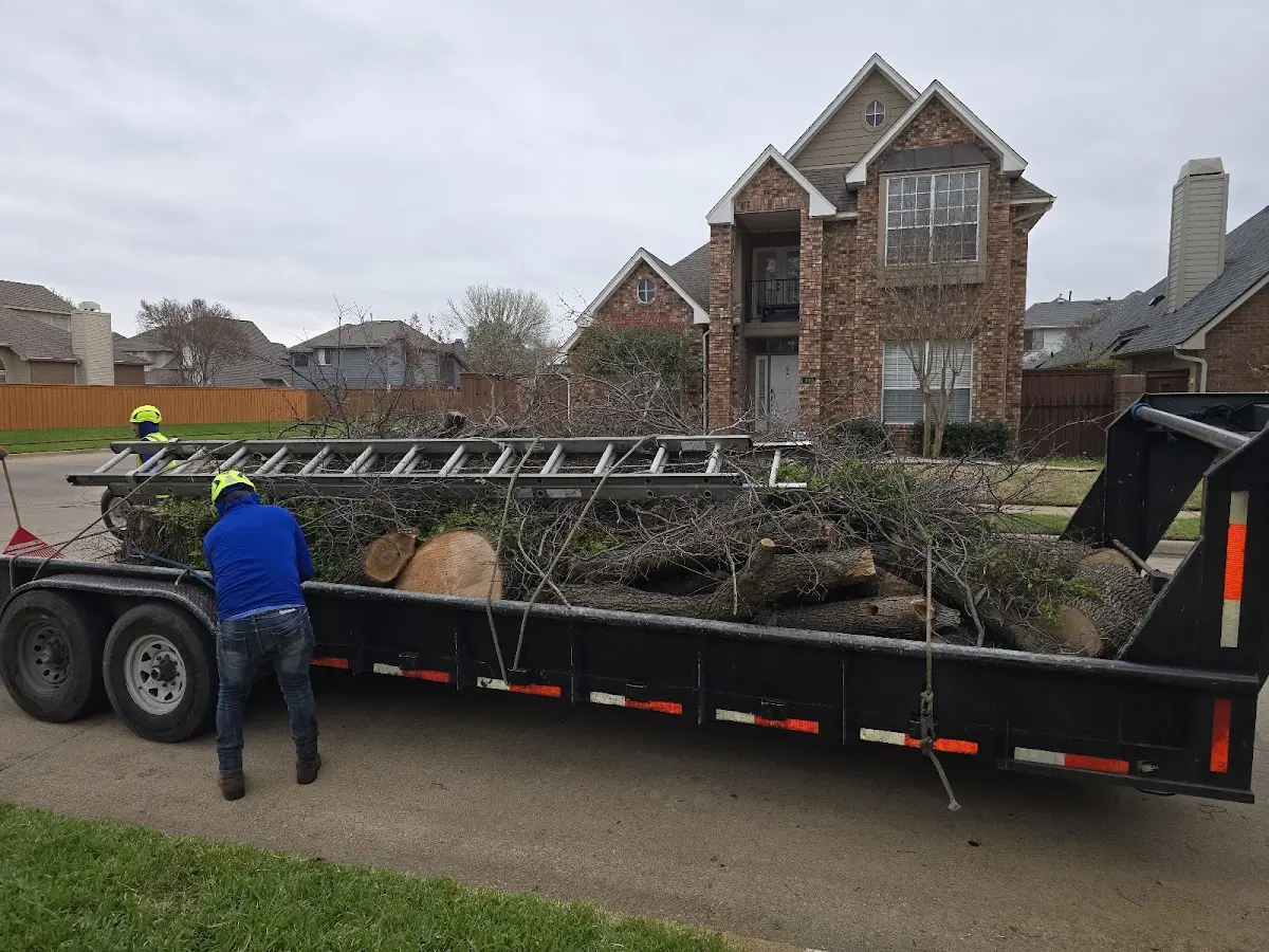 Expert Tree Pest Control with proper safety equipment in Newark